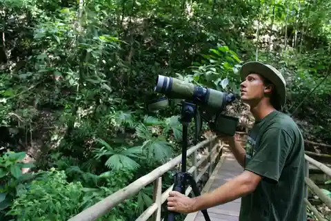 Bird Watching Tour at Rainforest Adventures Braulio Carrillo