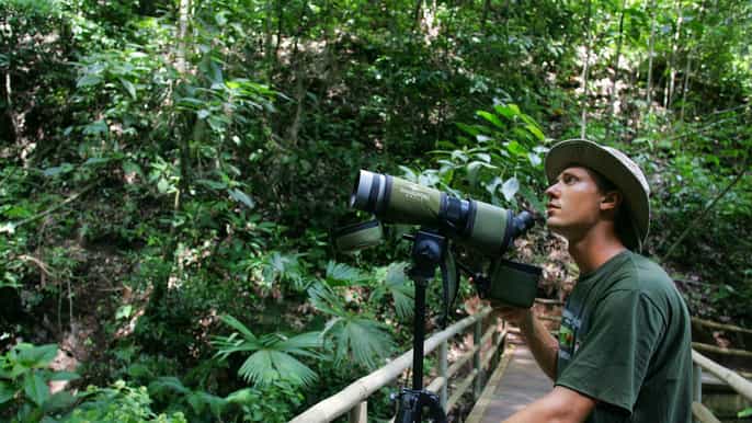 from san jose fullday costa rica birdwatching tour