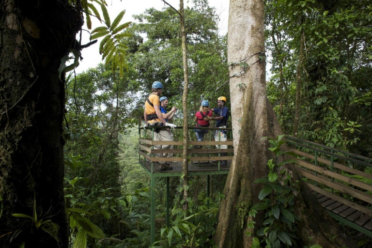 San Jose: Rainforest Costa Rica Atlantic Zip Line Tour Tour Only