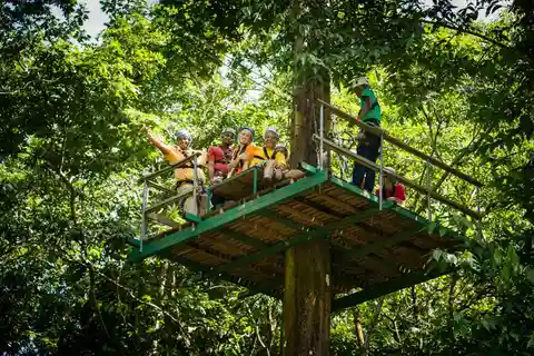 St Lucia Ultimate 3 Package: Aerial Tram Zip Line & Hiking