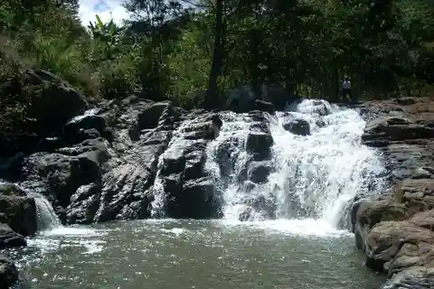De Bogotá: Visita a cachoeira de La Chorrera