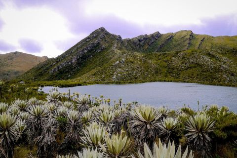Da Bogotá: tour ecologico del Parco nazionale di Chingaza