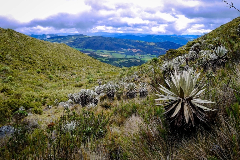 Ab Bogotá: Öko-Tour durch den Chingaza-Nationalpark