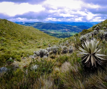 De Bogotá: Passeio ecológico pelo Parque Nacional Chingaza