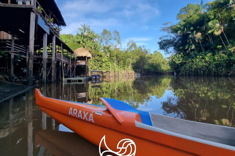 Belém: Canoeing through the holes and streams of the islands with breakfast. Belém: Canoeing through the channels and streams of the islands with breakfast