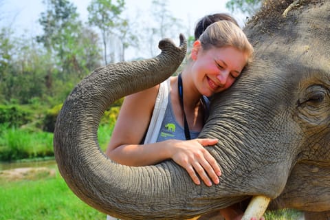 Chiang Mai: Elephant Care at Elephant Retirement Park