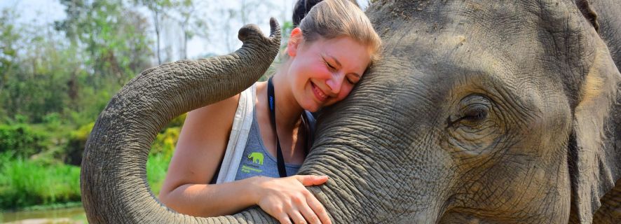 Chiang Mai: Elephant Care at Elephant Retirement Park