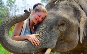 Chiang Mai: Elephant Care at Elephant Retirement Park