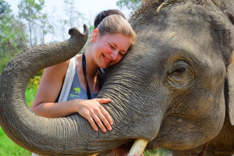 Chiang Mai: cuidado de elefantes en Elephant Retirement ParkCuidado de elefantes el día completo