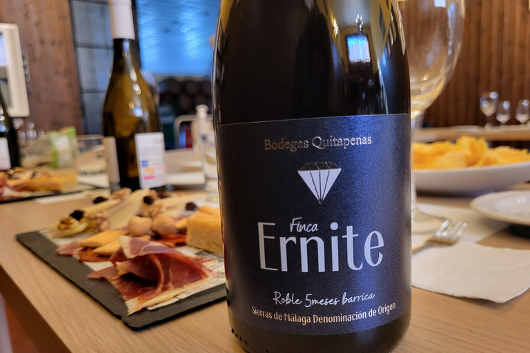 Bodegas Quitapenas: Guided Tour + Wine Tasting Quitapenas Winery: Guided Visit + Wine & Ham