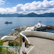 Oedo Island Botania & Geoje Private Day Tour from Busan