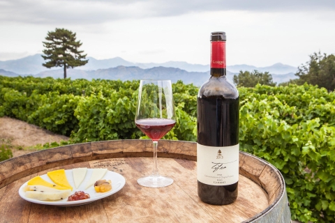 Visite privée des trois meilleurs vignobles de l'Etna avec dégustationVisite privée de 3 vignobles de l'Etna au départ de Catane ou de Messine