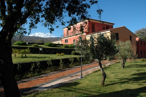 Tour privado de las tres mejores bodegas del Etna con degustaciónTour privado de 3 bodegas del Etna desde Catania o Messina