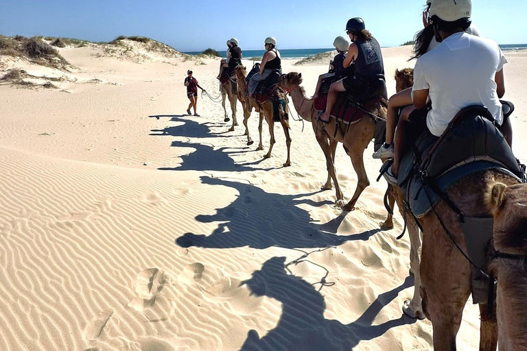 Hunter Valley Winery, Port Stephens Sand Dunes Adventures Winery Experience, Meet at Furama Darling Harbour