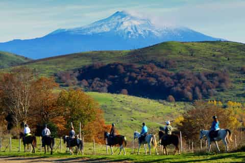 Sicile: Équitation et visite d'une ferme avec déjeuner