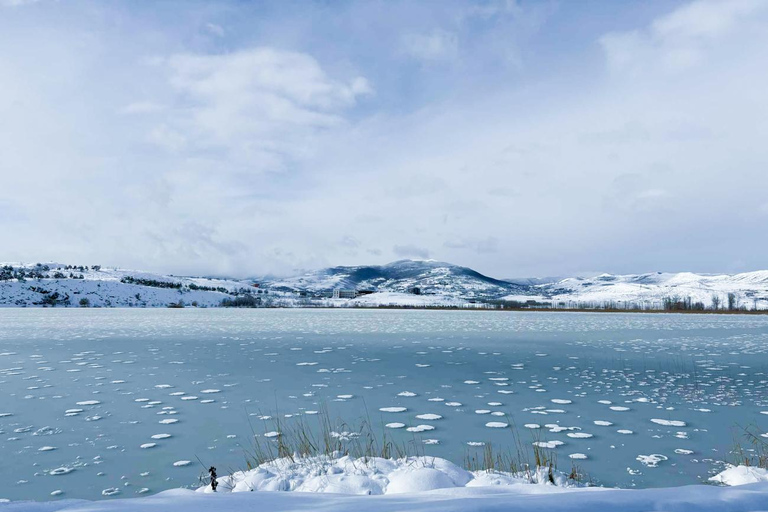 Tbilisi: Birdwatching Tour with Guide