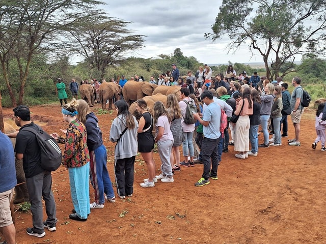 Nairobi’s Best:Elephants,Giraffes Center & Karen Blixen Tour