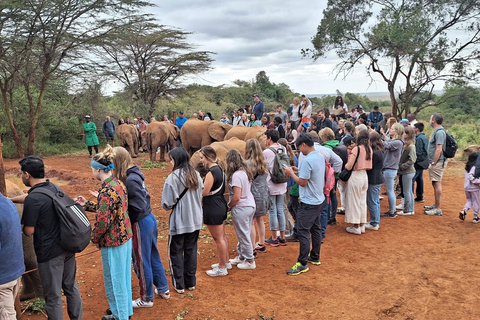 Nairobi: Giraffe Center, Elephant Orphanage, and Beads Tour