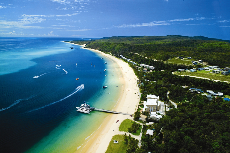 Moreton Island: Tangalooma Whale Watching & Dolphin Feeding