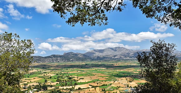 Crete: Lasithi Plateau, Cave of Zeus, and Olive Oil Tour