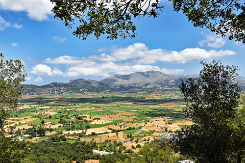 Crete: Lasithi Plateau, Cave of Zeus, and Olive Oil Tour
