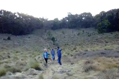 Kilimanjaro: Escalada de 7 dias à Lua Cheia na Rota de Lemosho