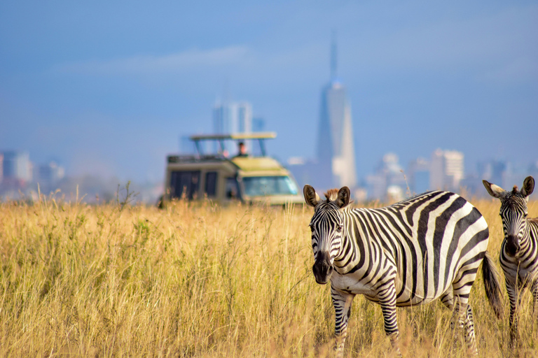 Safari por el Parque Nacional de Nairobi a primera hora de la mañana