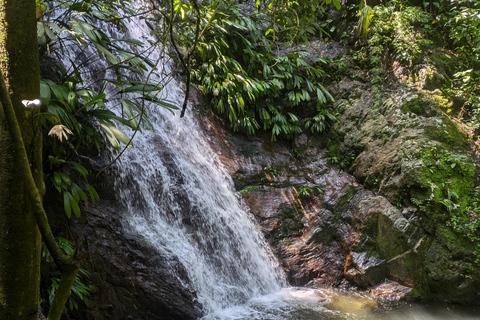 Minca, cachoeira escondida e oficina de cacau + oficina de café