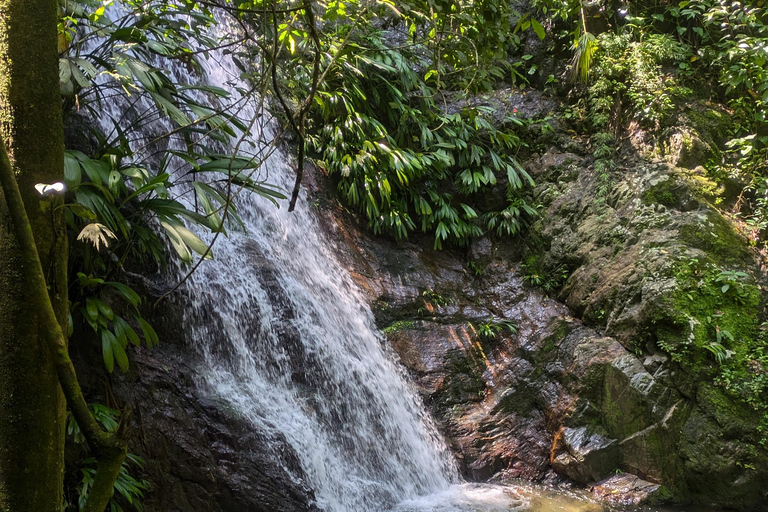 Minca, cachoeira escondida e oficina de cacau + oficina de café