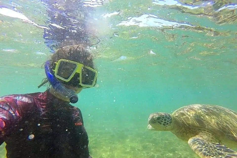 SH Snorkeling Club Mirissa