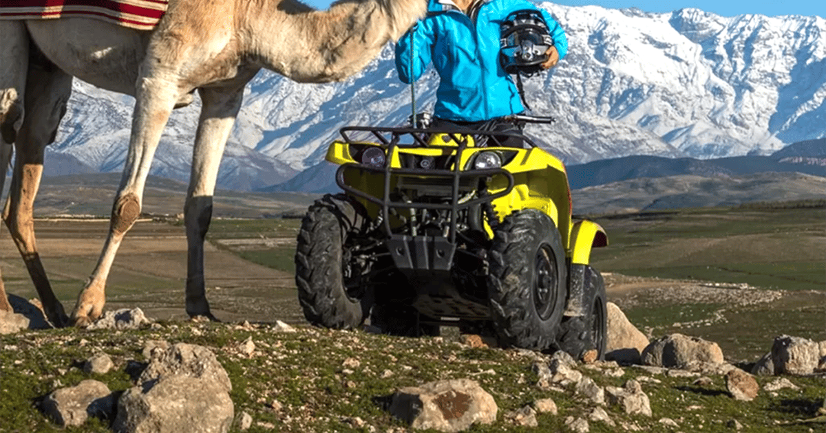 Marrakech Balade à dos de chameau ou en quad dans le désert d Agafay