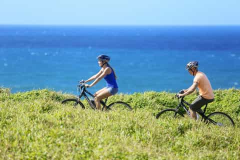 Mauritius: Bike Tour of The Wild South