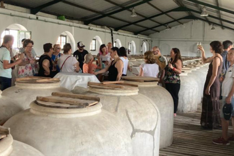 Montilla, Cordoba: Bodegas Alvear Winery Tour & Wine Tasting Bodegas Alvear Winery Tour & 5-Wine Tasting Spanish