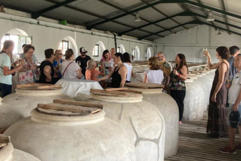 Montilla, Cordoba: Bodegas Alvear Winery Tour & Wine Tasting Bodegas Alvear Winery Tour & 5-Wine Tasting Spanish