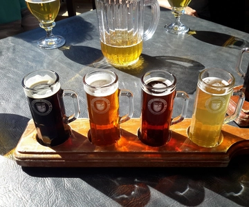 Szczecin Cata Privada de Cerveza y Comida Polaca