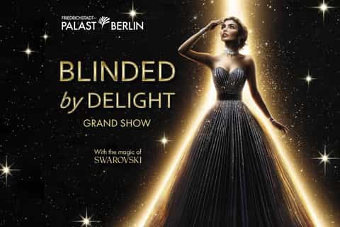 光沢の有るベルベット光るビジョー揺れるフリンジ魅惑のバイオレットラテンドレス 2026年フリードリヒシュタット＝パラストのショー＆ミュージカルベスト