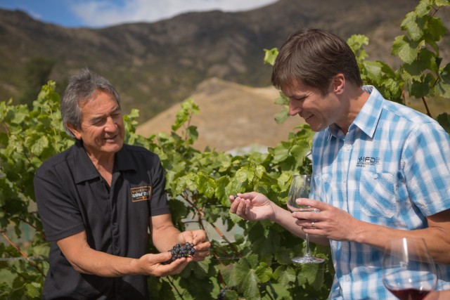 Visit Queenstown Afternoon Wine Tasting Tour with 3 Wineries in Queenstown, New Zealand