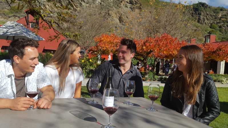 From Queenstown: 3 Winery Tour with Gourmet Wine & Lunch