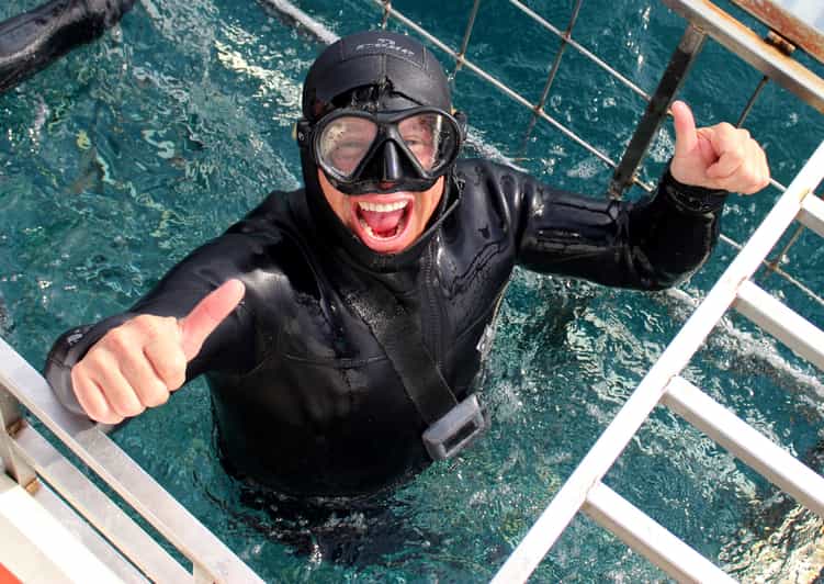 Cape Town Gansbaai EcoFriendly Shark Cage Diving Cruise GetYourGuide