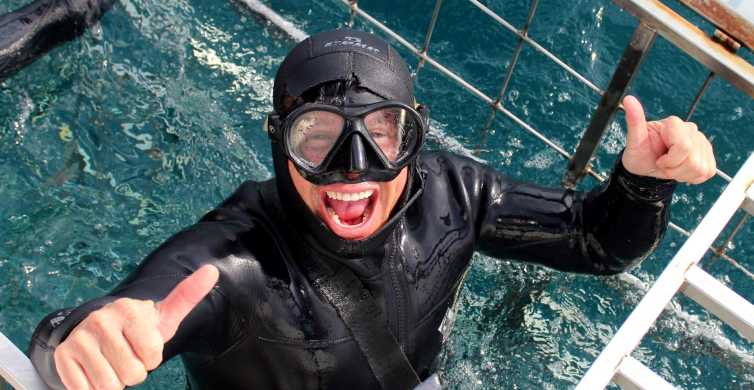 Gansbaai Eco-Friendly Shark Cage Diving