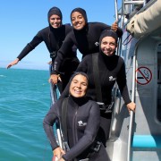 Cape Town: Gansbaai Eco-Friendly Shark Cage Diving Cruise