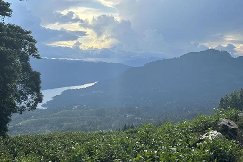 Pekoe Trail 1-5: Guided 7-Day Trek with Hotels & Transfers