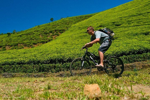 Bicycle Adventure-Bandarawela to Punagala & Tea Factory Tour