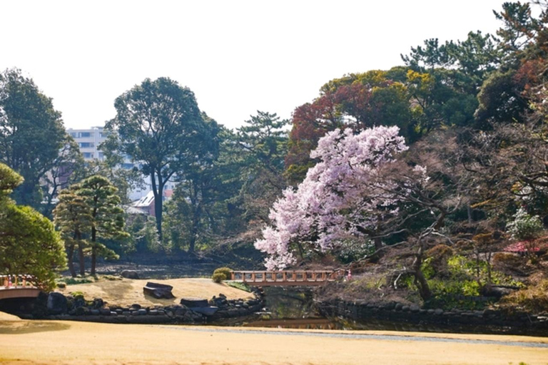 Tokyo: Shinjuku Gyoen National Garden Entry Ticket