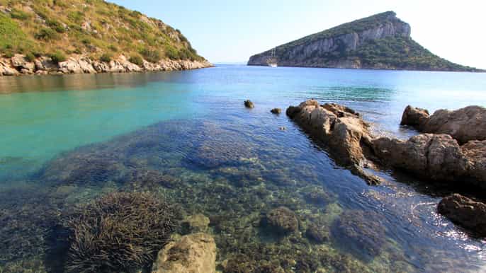 gallura small group tour by minivan