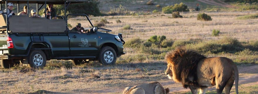 Au départ du Cap : Safari de 2 jours au Garden Route Game Lodge
