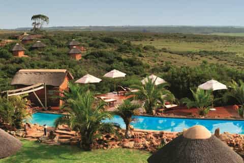 From Cape Town: 2-Day Safari at Garden Route Game Lodge