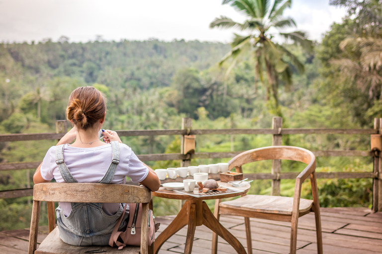 Bali: Dagsutflykt till Ubuds risterrasser, tempel &amp; vulkanen