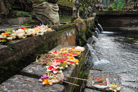 Bali : rizières en terrasses d'Ubud, temples et volcan