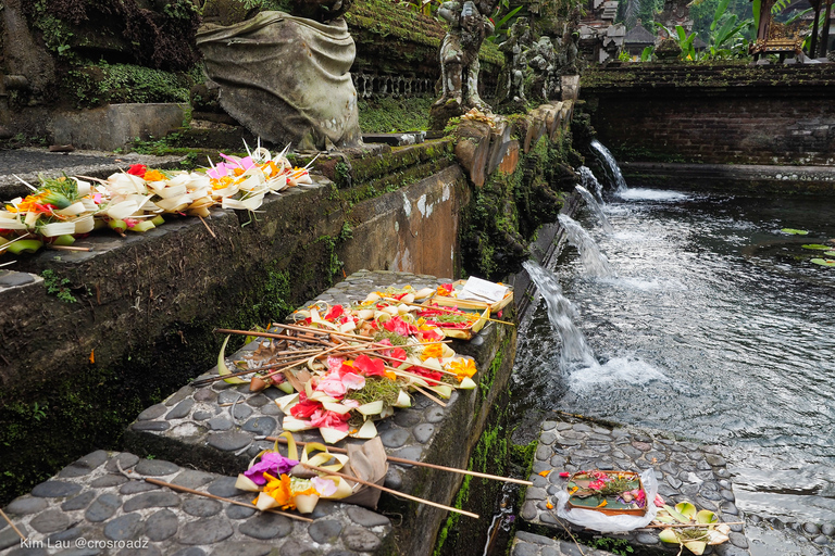 Bali: Ubud Reisterrassen, Tempel und Vulkan Tagesausflug